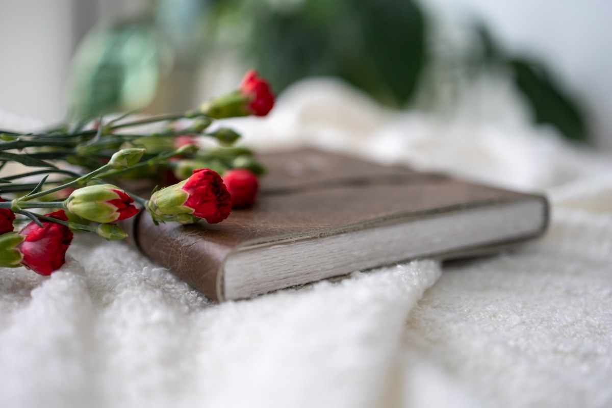 The Journal