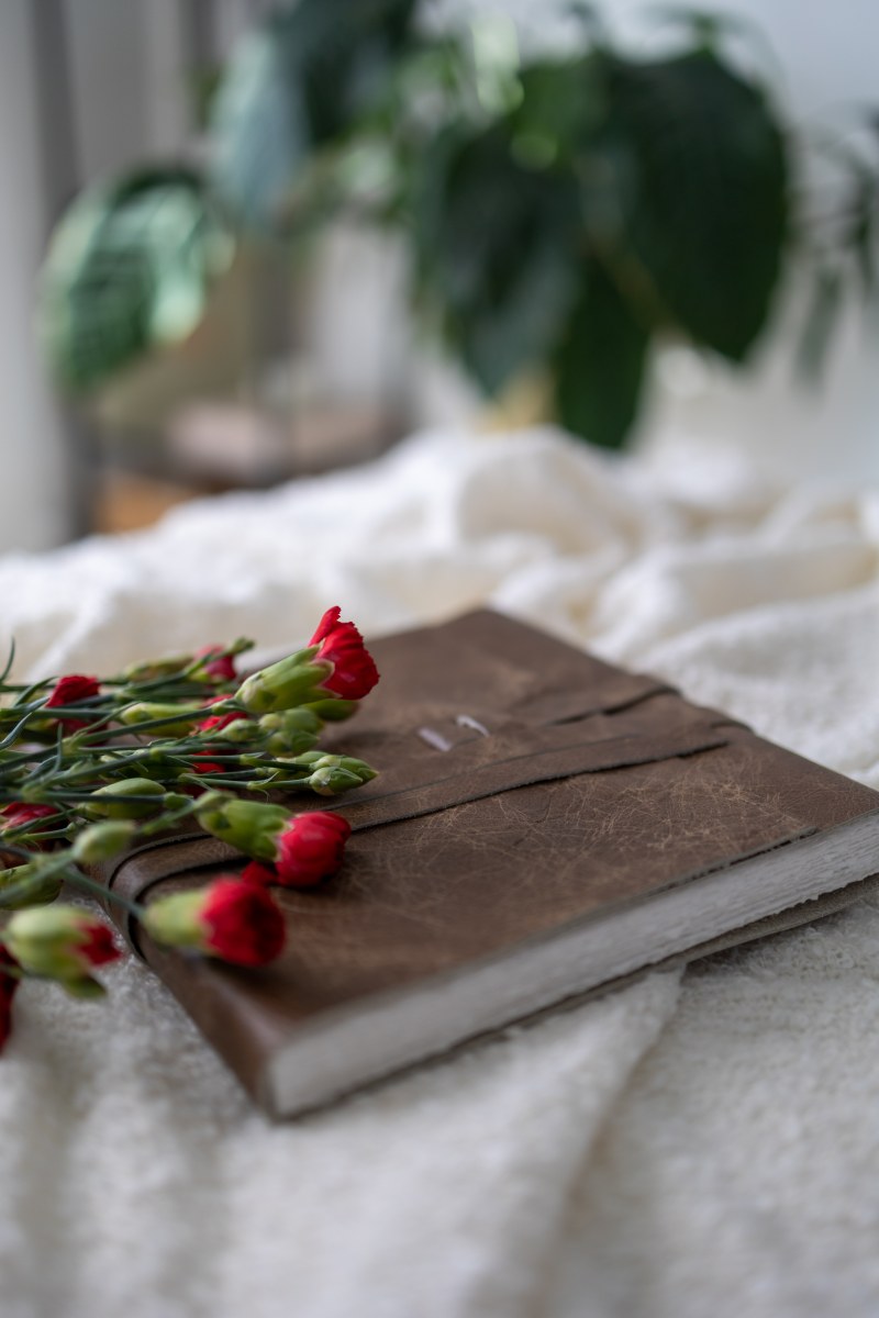 The Journal