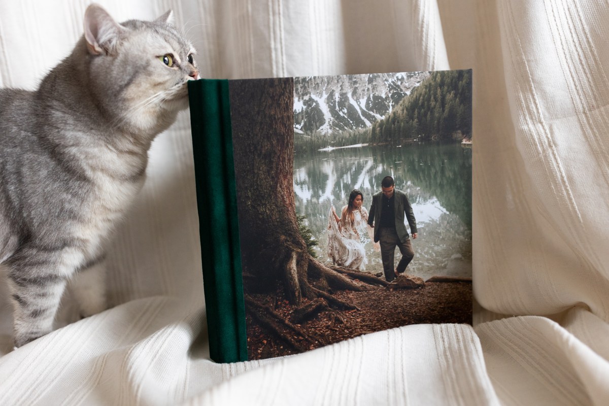Photo Panel Albums