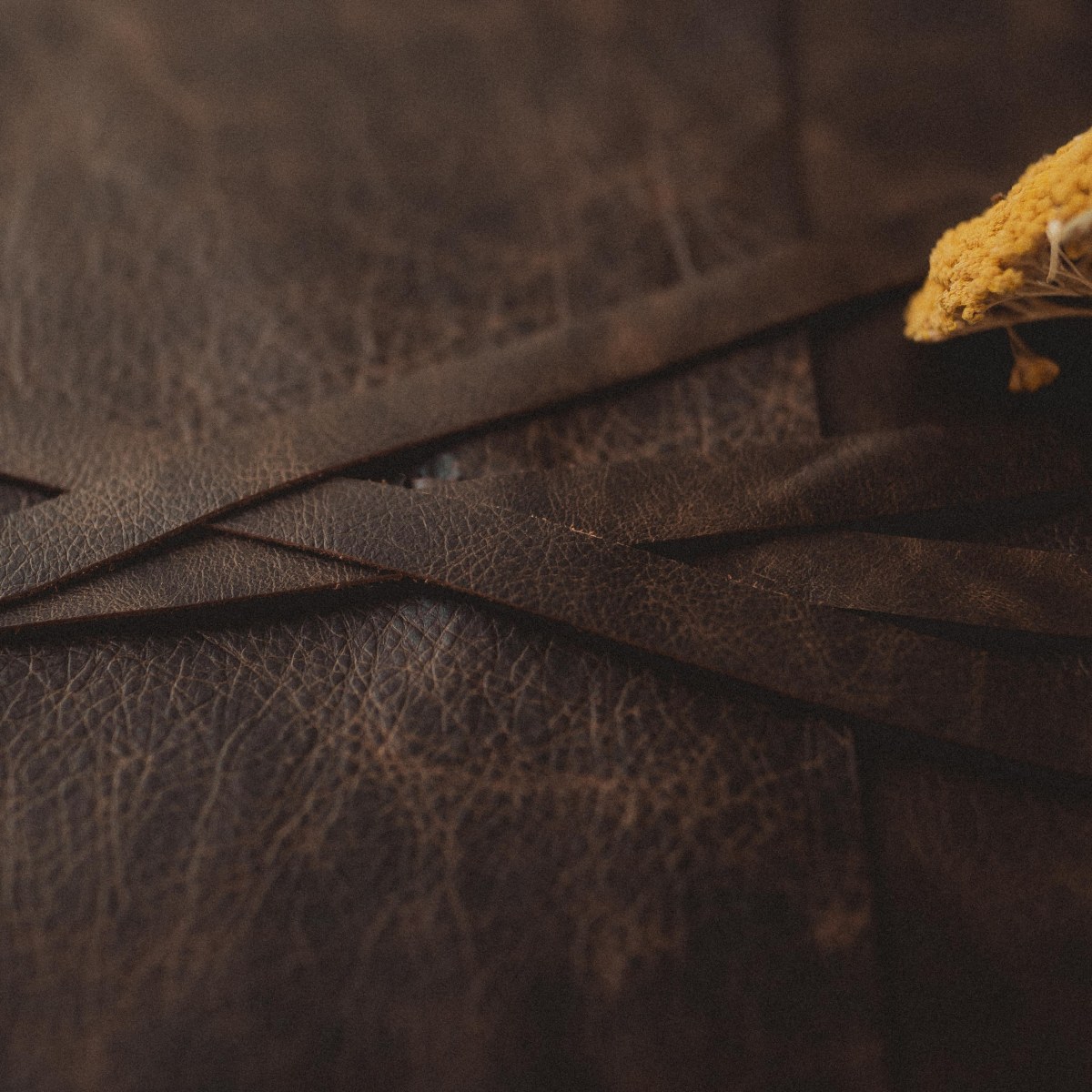 The Journal