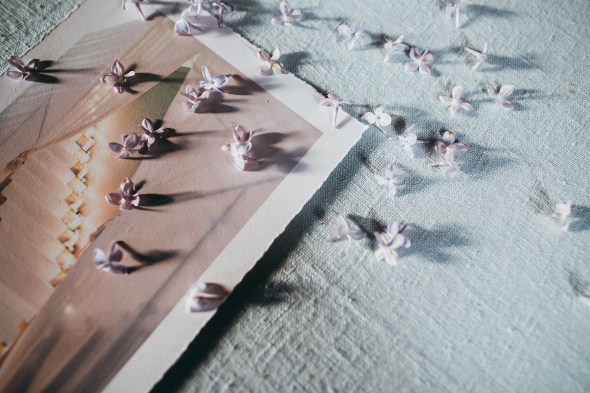 Deckled Edge Cotton Rag Prints