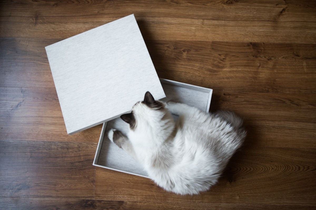 Album Lid Box - Raw Linen Colour