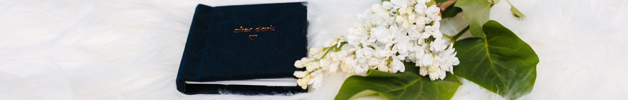 QT Albums stock photography